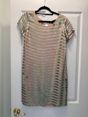 Short Sleeve Sequin Sheath Dress in Blush